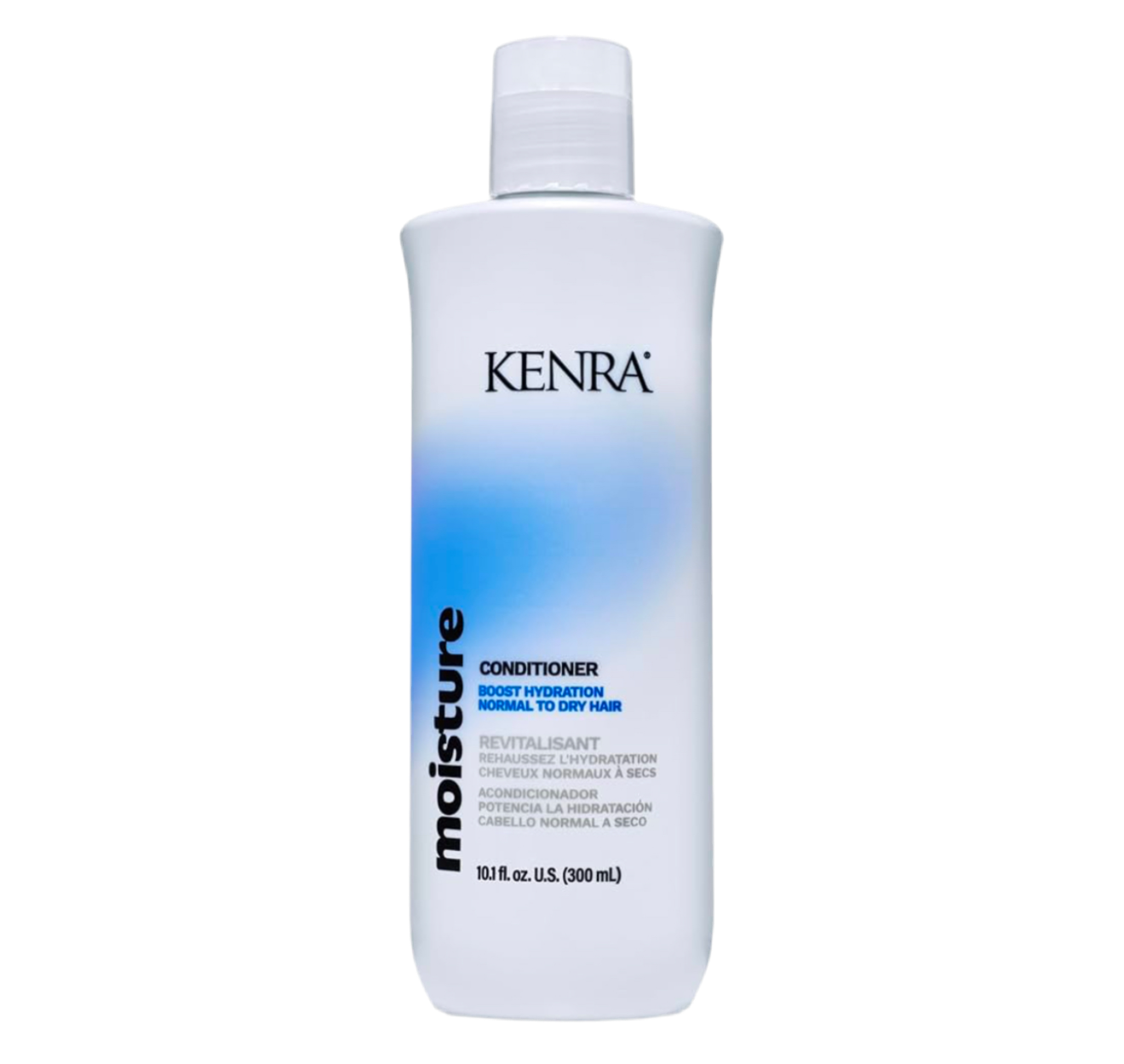 Kenra Moinsture Conditioner