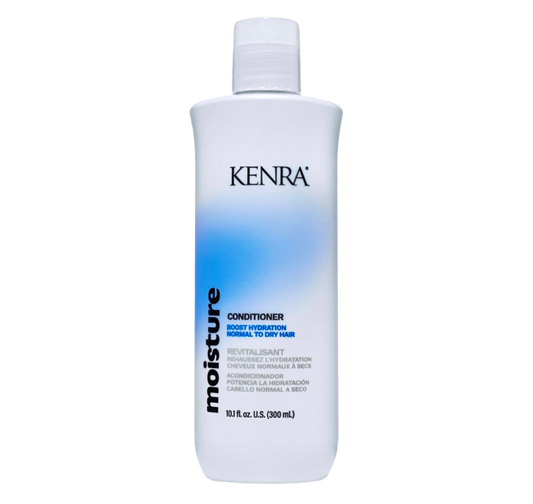 Kenra Moinsture Conditioner